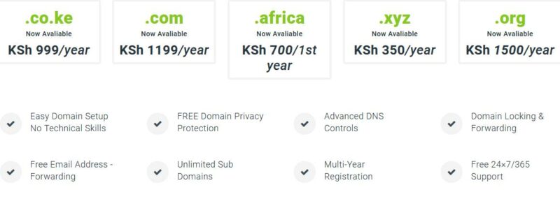  How Much Does A Domain Cost In Kenya And Best Companies To Buy The 