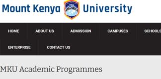 Most Marketable Diploma Courses in Kenya 2026