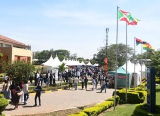 Best Degree courses to study in Kenya if you are good in Mathematics