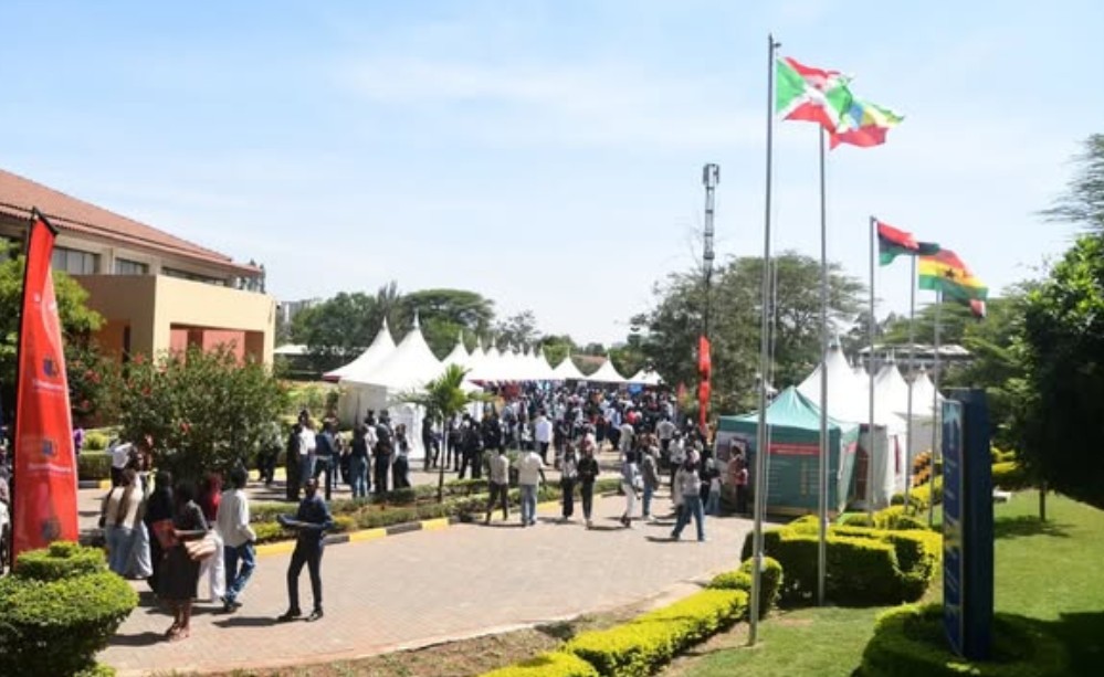 Best Degree courses to study in Kenya if you are good in Mathematics