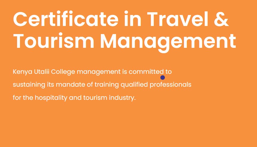 Is Tour Guiding, operations and administration a marketable course in Kenya?